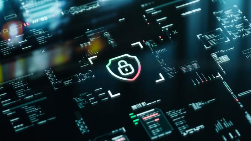 绍兴软件开发公司